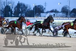 Dateiname=20251226_r05_066_R05_0173.jpg
Dateigröße=291KB
Abmessungen: 1000x667
hinzugefügt am: 27. Dezember 2025 20251226_r05_066_R05_0173.jpg