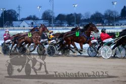 Dateiname=20251226_r05_067_R05_0177.jpg
Dateigröße=285KB
Abmessungen: 1000x667
hinzugefügt am: 27. Dezember 2025 20251226_r05_067_R05_0177.jpg