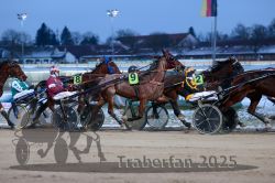 Dateiname=20251226_r05_070_R05_0183.jpg
Dateigröße=288KB
Abmessungen: 1000x667
hinzugefügt am: 27. Dezember 2025 20251226_r05_070_R05_0183.jpg