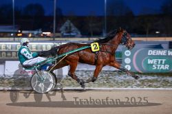 Dateiname=20251226_r06_046_R06_0121.jpg
Dateigröße=258KB
Abmessungen: 1000x667
hinzugefügt am: 27. Dezember 2025 20251226_r06_046_R06_0121.jpg