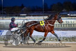 Dateiname=20251226_r06_049_R06_0127.jpg
Dateigröße=269KB
Abmessungen: 1000x667
hinzugefügt am: 27. Dezember 2025 20251226_r06_049_R06_0127.jpg