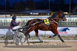 Dateiname=20251226_r06_050_R06_0130.jpg
Dateigröße=269KB
Abmessungen: 1000x667
hinzugefügt am: 27. Dezember 2025 20251226_r06_050_R06_0130.jpg