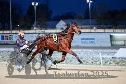 Dateiname=20251226_r06_051_R06_0132.jpg
Dateigröße=248KB
Abmessungen: 1000x667
hinzugefügt am: 27. Dezember 2025 20251226_r06_051_R06_0132.jpg