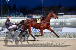 Dateiname=20251226_r06_054_R06_0138.jpg
Dateigröße=262KB
Abmessungen: 1000x667
hinzugefügt am: 27. Dezember 2025 20251226_r06_054_R06_0138.jpg