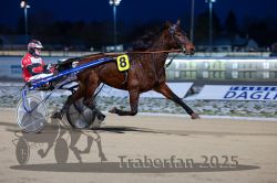 Dateiname=20251226_r06_062_R06_0154.jpg
Dateigröße=243KB
Abmessungen: 1000x667
hinzugefügt am: 27. Dezember 2025 20251226_r06_062_R06_0154.jpg