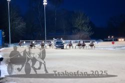 Dateiname=20251226_r06_067_R06_0164.jpg
Dateigröße=209KB
Abmessungen: 1000x667
hinzugefügt am: 27. Dezember 2025 20251226_r06_067_R06_0164.jpg