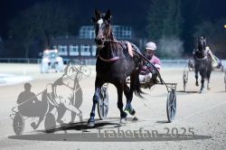 Dateiname=20251226_r07_001_R07_0002.jpg
Dateigröße=254KB
Abmessungen: 1000x667
hinzugefügt am: 27. Dezember 2025 20251226_r07_001_R07_0002.jpg