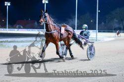 Dateiname=20251226_r07_005_R07_0013.jpg
Dateigröße=263KB
Abmessungen: 1000x667
hinzugefügt am: 27. Dezember 2025 20251226_r07_005_R07_0013.jpg