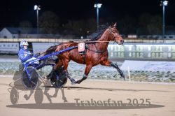 Dateiname=20251226_r07_039_R07_0110.jpg
Dateigröße=244KB
Abmessungen: 1000x667
hinzugefügt am: 27. Dezember 2025 20251226_r07_039_R07_0110.jpg