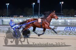 Dateiname=20251226_r07_040_R07_0112.jpg
Dateigröße=246KB
Abmessungen: 1000x667
hinzugefügt am: 27. Dezember 2025 20251226_r07_040_R07_0112.jpg