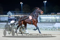 Dateiname=20251226_r07_045_R07_0122.jpg
Dateigröße=243KB
Abmessungen: 1000x667
hinzugefügt am: 27. Dezember 2025 20251226_r07_045_R07_0122.jpg