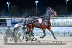 Dateiname=20251226_r07_046_R07_0124.jpg
Dateigröße=257KB
Abmessungen: 1000x667
hinzugefügt am: 27. Dezember 2025 20251226_r07_046_R07_0124.jpg