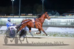 Dateiname=20251226_r07_047_R07_0126.jpg
Dateigröße=246KB
Abmessungen: 1000x667
hinzugefügt am: 27. Dezember 2025 20251226_r07_047_R07_0126.jpg