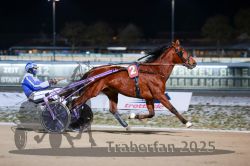 Dateiname=20251226_r07_049_R07_0130.jpg
Dateigröße=250KB
Abmessungen: 1000x667
hinzugefügt am: 27. Dezember 2025 20251226_r07_049_R07_0130.jpg