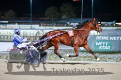 Dateiname=20251226_r07_050_R07_0132.jpg
Dateigröße=268KB
Abmessungen: 1000x667
hinzugefügt am: 27. Dezember 2025 20251226_r07_050_R07_0132.jpg