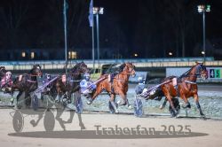 Dateiname=20251226_r07_066_R07_0181.jpg
Dateigröße=275KB
Abmessungen: 1000x667
hinzugefügt am: 27. Dezember 2025 20251226_r07_066_R07_0181.jpg