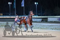 Dateiname=20251226_r08_021_R08_0046.jpg
Dateigröße=236KB
Abmessungen: 1000x667
hinzugefügt am: 27. Dezember 2025 20251226_r08_021_R08_0046.jpg