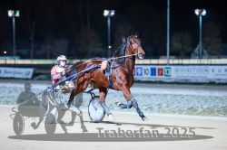 Dateiname=20251226_r08_023_R08_0050.jpg
Dateigröße=239KB
Abmessungen: 1000x667
hinzugefügt am: 27. Dezember 2025 20251226_r08_023_R08_0050.jpg