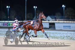 Dateiname=20251226_r08_024_R08_0052.jpg
Dateigröße=241KB
Abmessungen: 1000x667
hinzugefügt am: 27. Dezember 2025 20251226_r08_024_R08_0052.jpg