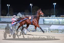 Dateiname=20251226_r08_025_R08_0054.jpg
Dateigröße=243KB
Abmessungen: 1000x667
hinzugefügt am: 27. Dezember 2025 20251226_r08_025_R08_0054.jpg