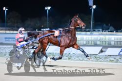 Dateiname=20251226_r08_026_R08_0056.jpg
Dateigröße=241KB
Abmessungen: 1000x667
hinzugefügt am: 27. Dezember 2025 20251226_r08_026_R08_0056.jpg