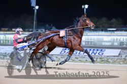 Dateiname=20251226_r08_027_R08_0058.jpg
Dateigröße=255KB
Abmessungen: 1000x667
hinzugefügt am: 27. Dezember 2025 20251226_r08_027_R08_0058.jpg