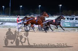 Dateiname=20251226_r08_034_R08_0075.jpg
Dateigröße=249KB
Abmessungen: 1000x667
hinzugefügt am: 27. Dezember 2025 20251226_r08_034_R08_0075.jpg