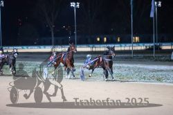 Dateiname=20251226_r08_040_R08_0088.jpg
Dateigröße=245KB
Abmessungen: 1000x667
hinzugefügt am: 27. Dezember 2025 20251226_r08_040_R08_0088.jpg