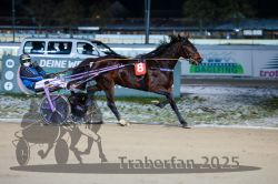 Dateiname=20251226_r08_060_R08_0136.jpg
Dateigröße=265KB
Abmessungen: 1000x667
hinzugefügt am: 27. Dezember 2025 20251226_r08_060_R08_0136.jpg