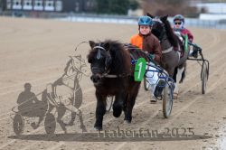 Dateiname=20251226_mtt_011_MT1_0062.jpg
Dateigröße=264KB
Abmessungen: 1000x667
hinzugefügt am: 27. Dezember 2025 20251226_mtt_011_MT1_0062.jpg