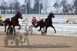 Dateiname=20251226_qu1_024_QU1_0102.jpg
Dateigröße=266KB
Abmessungen: 1000x667
hinzugefügt am: 27. Dezember 2025 20251226_qu1_024_QU1_0102.jpg