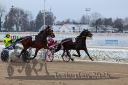 Dateiname=20251226_qu1_026_QU1_0109.jpg
Dateigröße=263KB
Abmessungen: 1000x667
hinzugefügt am: 27. Dezember 2025 20251226_qu1_026_QU1_0109.jpg