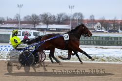 Dateiname=20251226_qu1_030_QU1_0127.jpg
Dateigröße=252KB
Abmessungen: 1000x667
hinzugefügt am: 27. Dezember 2025 20251226_qu1_030_QU1_0127.jpg