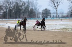 Dateiname=20251226_qu1_031_QU1_0128.jpg
Dateigröße=252KB
Abmessungen: 1000x667
hinzugefügt am: 27. Dezember 2025 20251226_qu1_031_QU1_0128.jpg