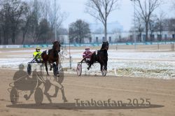 Dateiname=20251226_qu1_033_QU1_0134.jpg
Dateigröße=254KB
Abmessungen: 1000x667
hinzugefügt am: 27. Dezember 2025 20251226_qu1_033_QU1_0134.jpg