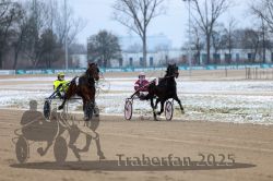 Dateiname=20251226_qu1_034_QU1_0137.jpg
Dateigröße=266KB
Abmessungen: 1000x667
hinzugefügt am: 27. Dezember 2025 20251226_qu1_034_QU1_0137.jpg