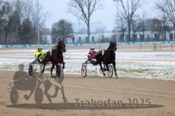 Dateiname=20251226_qu1_035_QU1_0138.jpg
Dateigröße=264KB
Abmessungen: 1000x667
hinzugefügt am: 27. Dezember 2025 20251226_qu1_035_QU1_0138.jpg