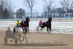 Dateiname=20251226_qu1_036_QU1_0141.jpg
Dateigröße=260KB
Abmessungen: 1000x667
hinzugefügt am: 27. Dezember 2025 20251226_qu1_036_QU1_0141.jpg