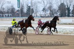 Dateiname=20251226_qu1_039_QU1_0150.jpg
Dateigröße=272KB
Abmessungen: 1000x667
hinzugefügt am: 27. Dezember 2025 20251226_qu1_039_QU1_0150.jpg