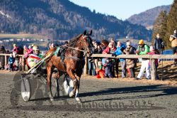 Dateiname=20251228_r04_091_CR5_0107.jpg
Dateigröße=415KB
Abmessungen: 1000x667
hinzugefügt am: 29. Dezember 2025 20251228_r04_091_CR5_0107.jpg