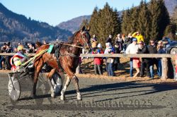 Dateiname=20251228_r04_092_CR5_0109.jpg
Dateigröße=390KB
Abmessungen: 1000x667
hinzugefügt am: 29. Dezember 2025 20251228_r04_092_CR5_0109.jpg