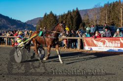 Dateiname=20251228_r04_093_CR5_0110.jpg
Dateigröße=387KB
Abmessungen: 1000x667
hinzugefügt am: 29. Dezember 2025 20251228_r04_093_CR5_0110.jpg