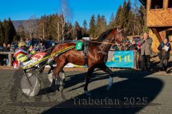 Dateiname=20251228_r04_095_CR5_0113.jpg
Dateigröße=368KB
Abmessungen: 1000x667
hinzugefügt am: 29. Dezember 2025 20251228_r04_095_CR5_0113.jpg