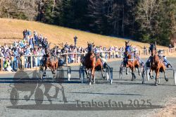 Dateiname=20251228_r05_040_R05_0096.jpg
Dateigröße=419KB
Abmessungen: 1000x667
hinzugefügt am: 30. Dezember 2025 20251228_r05_040_R05_0096.jpg