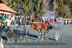 Dateiname=20251228_r07_070_R07_0178.jpg
Dateigröße=482KB
Abmessungen: 1000x667
hinzugefügt am: 29. Dezember 2025 20251228_r07_070_R07_0178.jpg