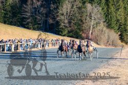 Dateiname=20251228_r07_073_R07_0186.jpg
Dateigröße=423KB
Abmessungen: 1000x667
hinzugefügt am: 29. Dezember 2025 20251228_r07_073_R07_0186.jpg