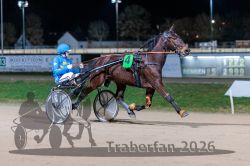 20260319_r05_058_R05_0137.jpg