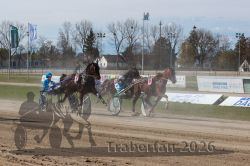 20260405_r03_042_R03_0132.jpg