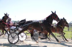 20260501_ja_130_IMG_0032.jpg
