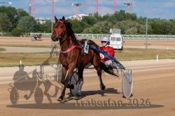 20260509_em6_039_R06_0129.jpg